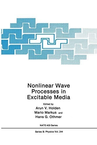 Tapa de Nonlinear Wave Processes in Excitable Media