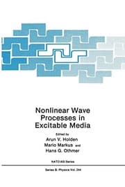 Tapa de Nonlinear Wave Processes in Excitable Media