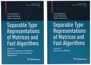 Tapa de Separable Type Representations of Matrices and Fast Algorithms