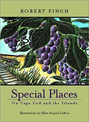Tapa de Special places
