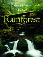 Tapa de Rainforest