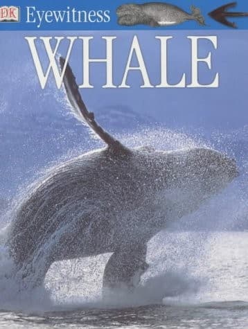 Tapa de Whale