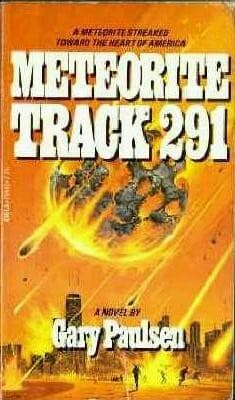 Tapa de Meteorite Track 291