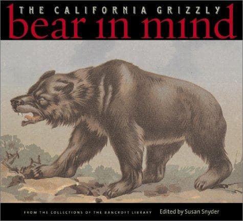 Tapa de Bear in mind