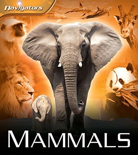 Tapa de Mammals