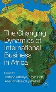 Tapa de The Changing Dynamics of International Business in Africa