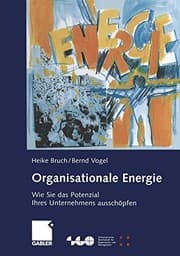 Tapa de Organisationale Energie
