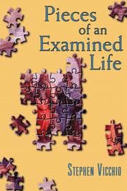Tapa de Pieces of an examined life