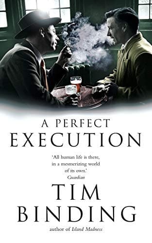 Tapa de A Perfect Execution