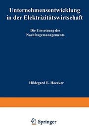 Tapa de Unternehmensentwicklung in der Elektrizitätswirtschaft