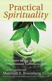 Tapa de Practical Spirituality