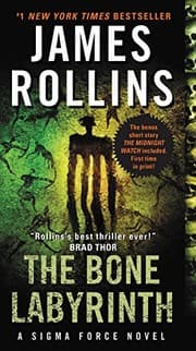 Tapa de The Bone Labyrinth