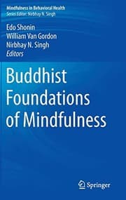 Tapa de Buddhist Foundations of Mindfulness