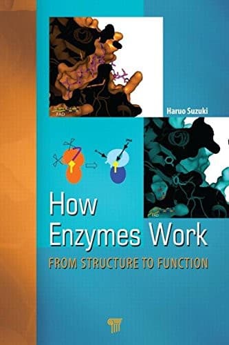 Tapa de How Enzymes Work