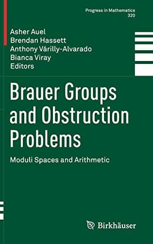 Tapa de Brauer Groups and Obstruction Problems