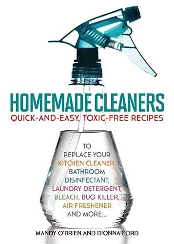 Tapa de Homemade Cleaners