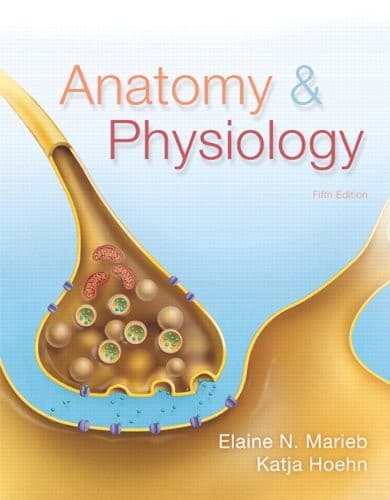 Tapa de Anatomy & Physiology