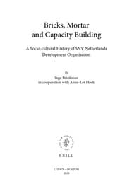 Tapa de Bricks, mortar and capacity building