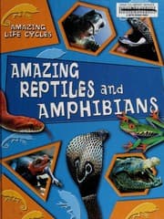 Tapa de Amazing reptiles and amphibians