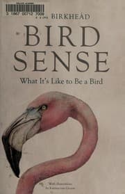 Tapa de Bird sense
