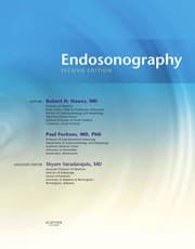 Tapa de Endosonography