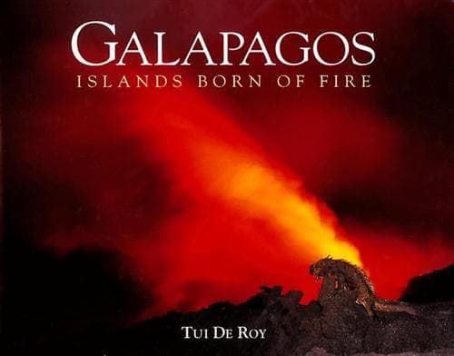 Tapa de Galapagos