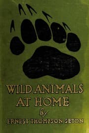 Tapa de Wild animals at home
