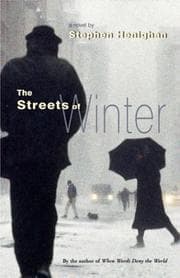 Tapa de The streets of winter