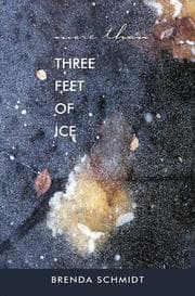 Tapa de More Than Three Feet of Ice