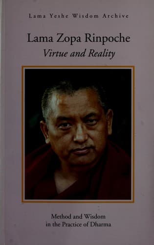 Tapa de Virtue & reality
