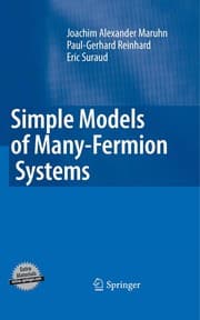 Tapa de Simple models of many-fermion systems