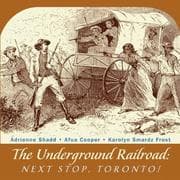 Tapa de The underground railroad