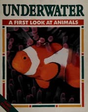 Tapa de Underwater