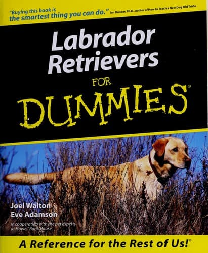 Tapa de Labrador retrievers for dummies