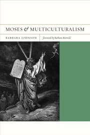Tapa de Moses and multiculturalism