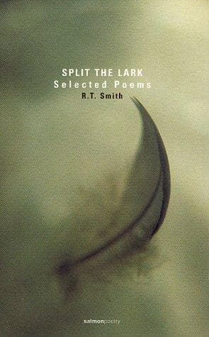Tapa de Split the Lark