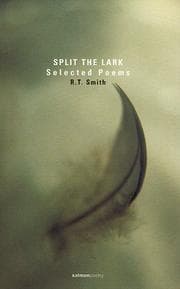 Tapa de Split the Lark