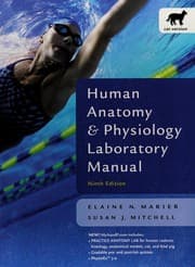Tapa de Human Anatomy & Physiology Manual