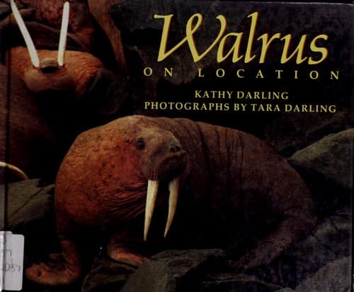Tapa de Walrus