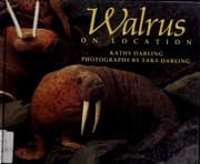 Tapa de Walrus
