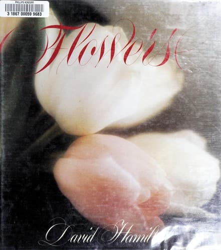 Tapa de Flowers