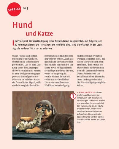 Tapa de Hunde wirklich verstehen