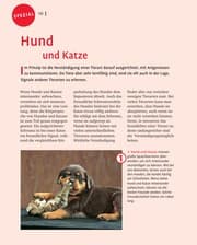 Tapa de Hunde wirklich verstehen