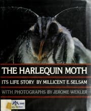 Tapa de The harlequin moth