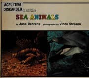 Tapa de Look at the sea animals