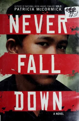 Tapa de Never fall down