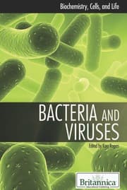 Tapa de Bacteria and viruses