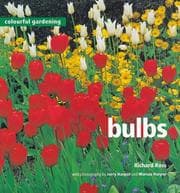 Tapa de Bulbs