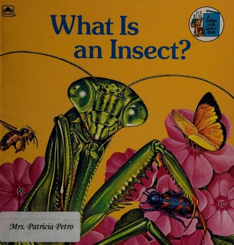 Tapa de What Is an Insect?