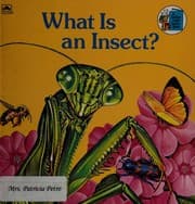 Tapa de What Is an Insect?